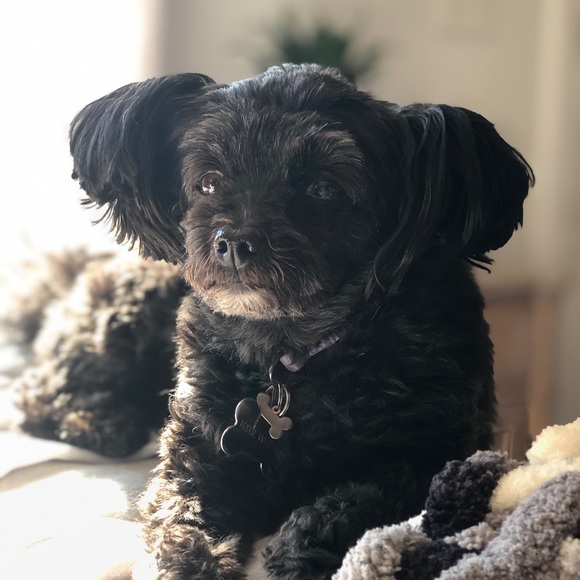 Welcome! - Picture 2 of 2